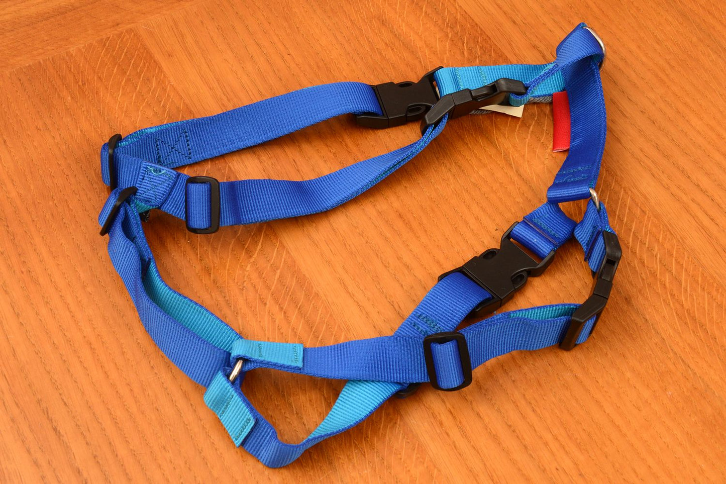 Oprsnica XXS modra s kovinsko zaponko